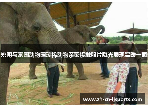 姚明与泰国动物园珍稀动物亲密接触照片曝光展现温暖一面 姚明与泰国动物园珍稀动物亲密接触照片曝光展现温暖一面