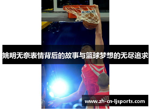 姚明无奈表情背后的故事与篮球梦想的无尽追求