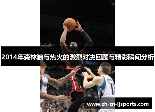 2014年森林狼与热火的激烈对决回顾与精彩瞬间分析